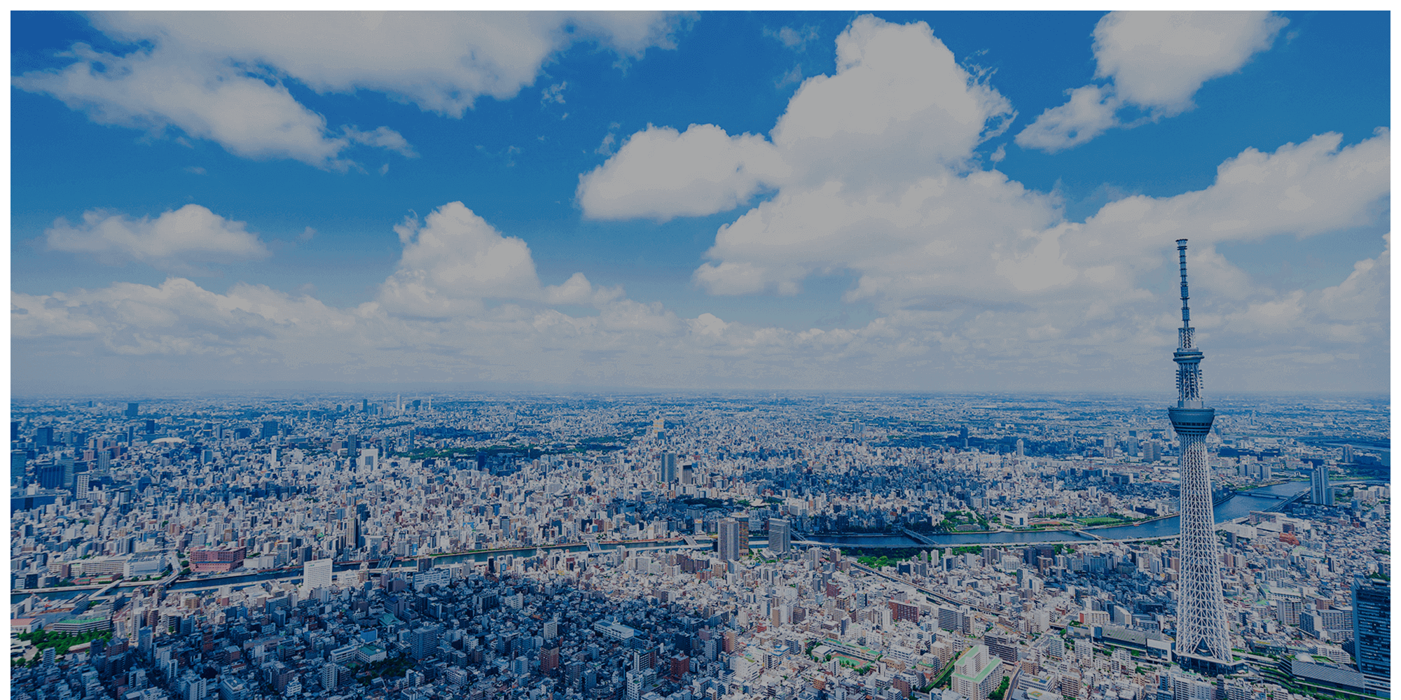 頑張りが次のステップになる仕事 あなたらしい働き方を